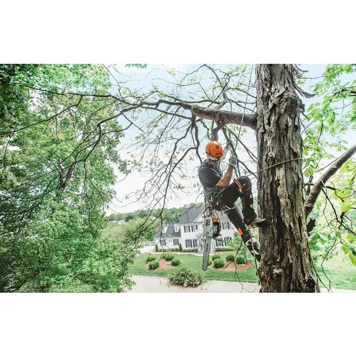 Stihl Ms 201 T C-M 12-Inch Top-Handle Chainsaw For Arborists 1